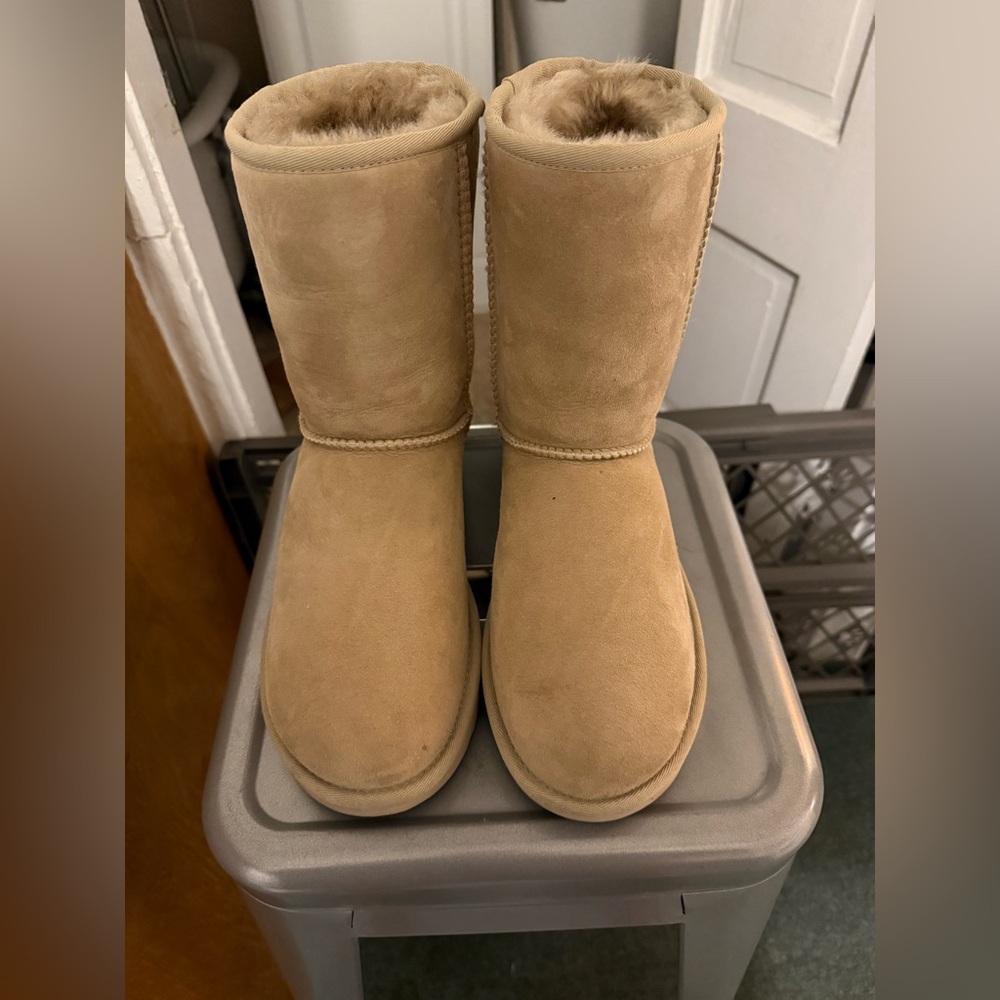 Size 9 Ugg Classic Short II in Mustard Seed